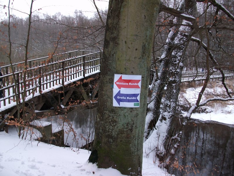 Crosslauf Bergedorf 041